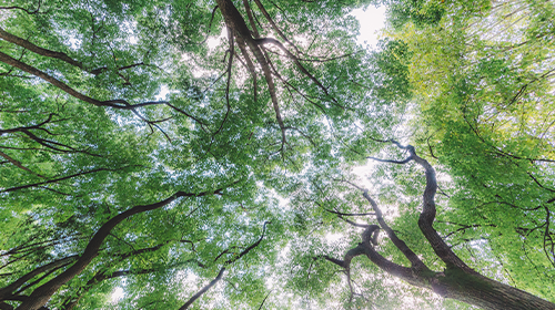 两部委公布储能相关意见、2024年3月全国代理购电价格公布、人民法院案例库今起对社会开放、本周提醒信息