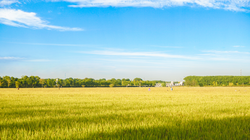 中共中央 国务院与国家能源局相继印发重磅文件、苏/蒙/浙/鲁等地光储新政