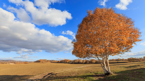 国家能源局发布《可再生能源绿色电力证书核发和交易规则》、能源法草案二审将有新调整、地方风光储新政…… 
