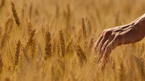 习近平发表重要讲话、能源法（草案二次审议稿）公开征求意见、8月规上工业风光发电增长情况公布……