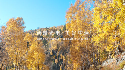 可再生能源非电消费纳入年度考核指标、全球首次突破气候临界点……