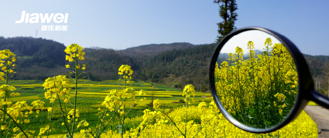 “十五五”新能源发展目标敲定、‘“三北”风电光伏基地加紧规划……