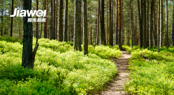 电力中长期市场新规、四川独立储能/虚拟电厂报价不进行分档……